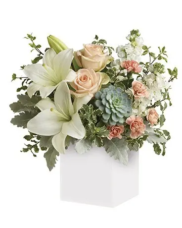 How To Care For Cut Flowers How To Care For Cut Flowers